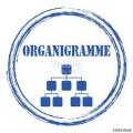 Organigramme